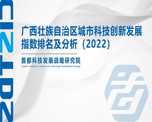 抖奶插逼网【成果发布】广西壮族自治区城市科技创新发展指数排名及分析（2022）